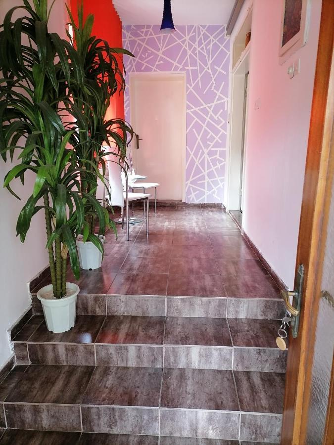 Smestaj U Okviru Domacinstva Sobe Sosa Palics Kültér fotó