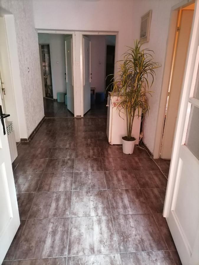 Smestaj U Okviru Domacinstva Sobe Sosa Palics Kültér fotó