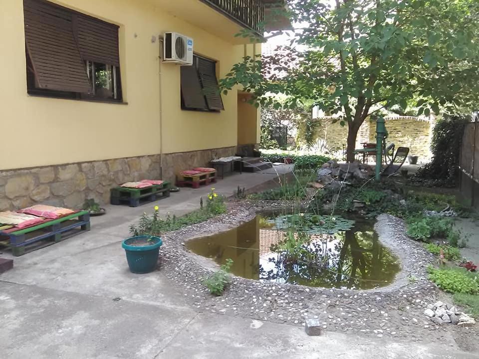 Smestaj U Okviru Domacinstva Sobe Sosa Palics Kültér fotó